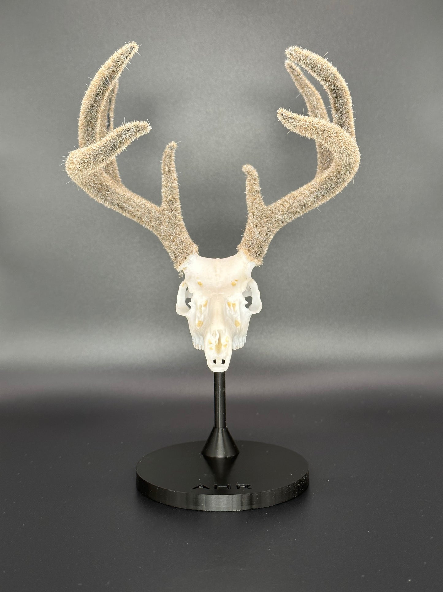 Velvet Coues Whitetail Mini Replica