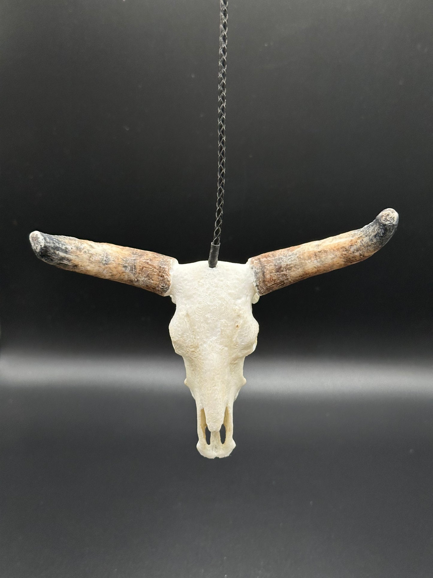 Bull Horn Replica Hanger